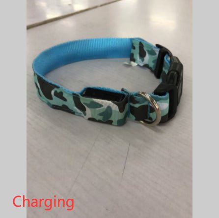 Collier Lumineux pour Chien Camouflage - LED Sécurité Nocturne, Réglable & Résistant - ToutouZEN