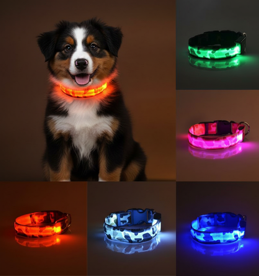 Collier Lumineux pour Chien Camouflage - LED Sécurité Nocturne, Réglable & Résistant - ToutouZEN