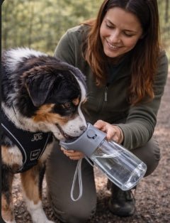Gourde 3 - en - 1 pour Chien - Eau, Croquettes & Distributeur de Sacs pour Balades Faciles - ToutouZEN