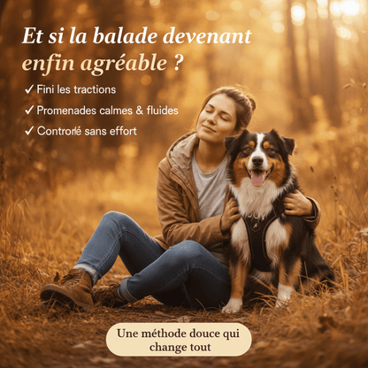 Harnais Anti Traction Personnalisé - ToutouZEN