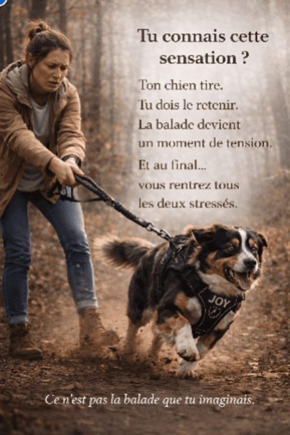 Harnais Anti Traction Personnalisé - ToutouZEN