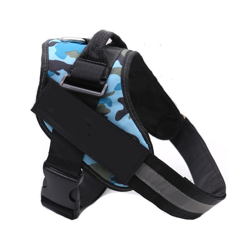 Harnais Anti Traction Personnalisé pour Chien - Confort & Sécurité - ToutouZEN