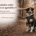Harnais Anti Traction Personnalisé