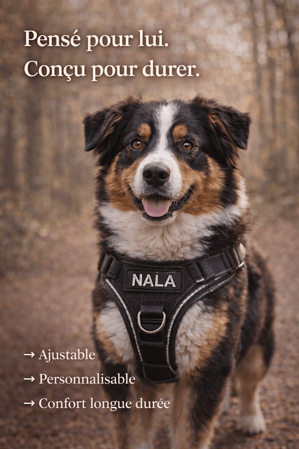 Harnais Anti Traction Personnalisé pour Chien - Confort & Sécurité - ToutouZEN