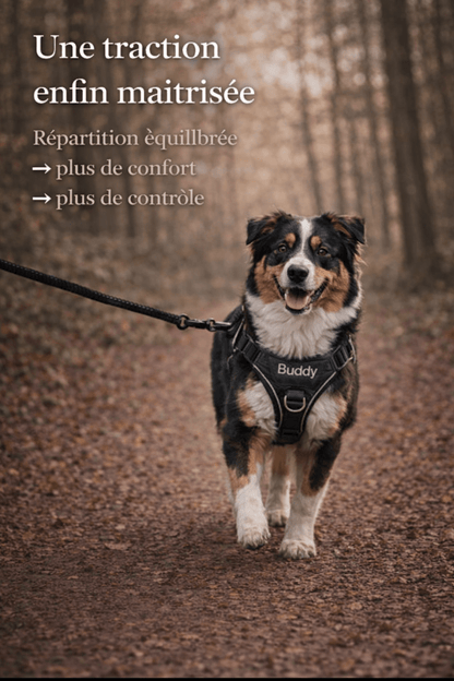 Harnais Anti Traction Personnalisé pour Chien - Confort & Sécurité - ToutouZEN