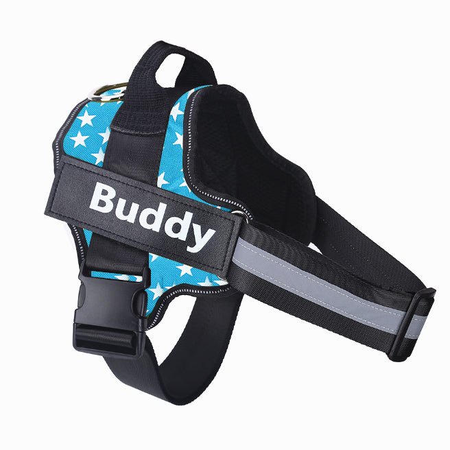 Harnais Anti Traction Personnalisé pour Chien - Confort & Sécurité - ToutouZEN