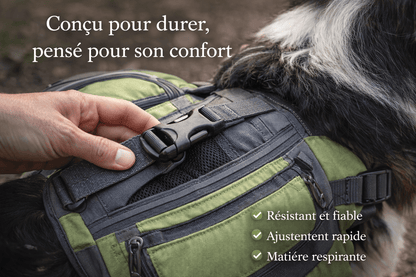 Harnais Sac à Dos Chien – Transporte ses Essentiels en Balade & Randonnée - ToutouZEN