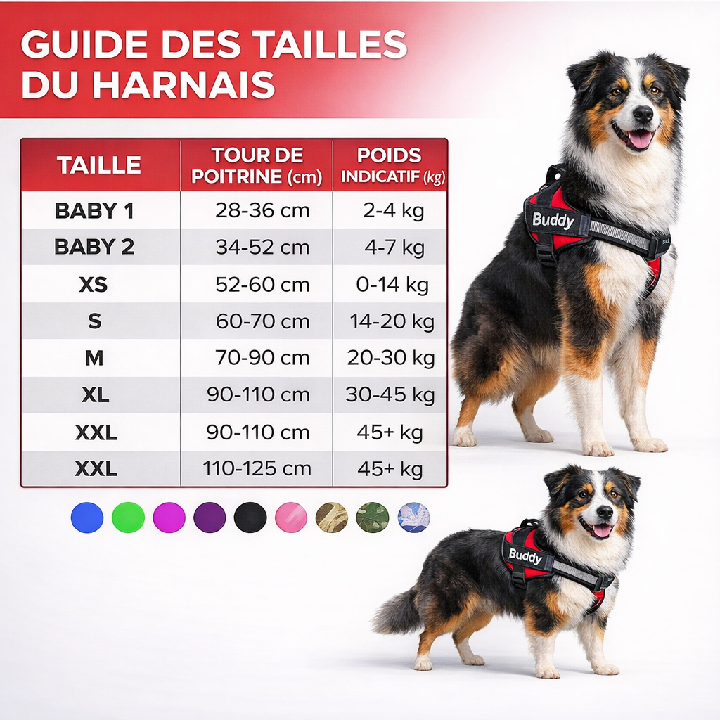 Harnais Anti Traction Personnalisé pour Chien - Confort & Sécurité - ToutouZEN