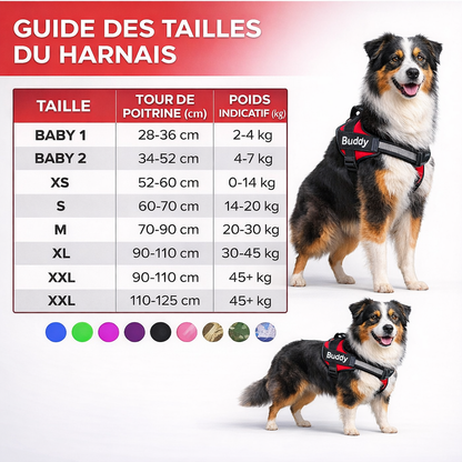 Harnais Anti Traction Personnalisé pour Chien - Confort & Sécurité - ToutouZEN