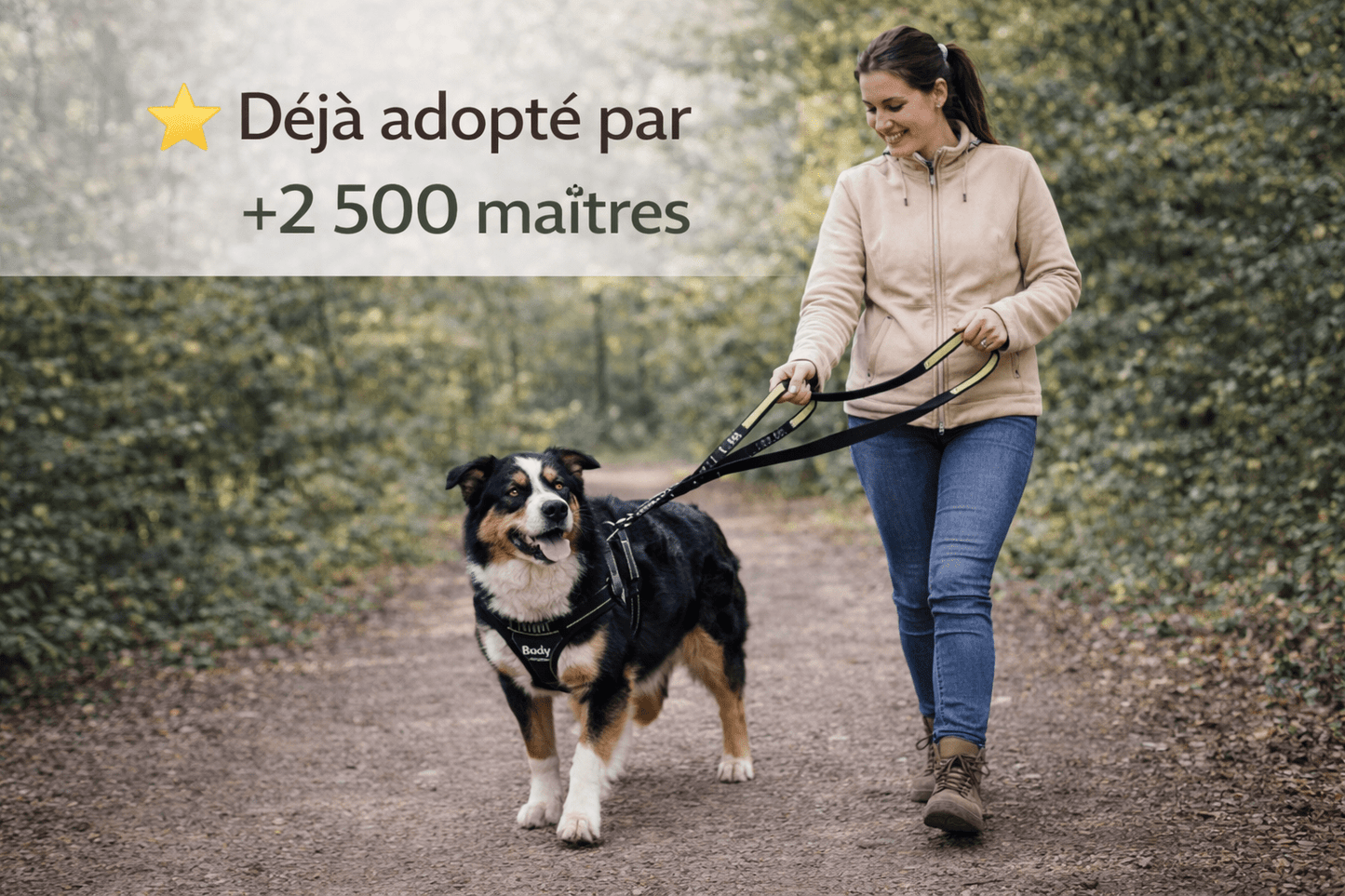 Laisse chien double poignée anti traction – reprends le contrôle en balade sans stress - ToutouZEN