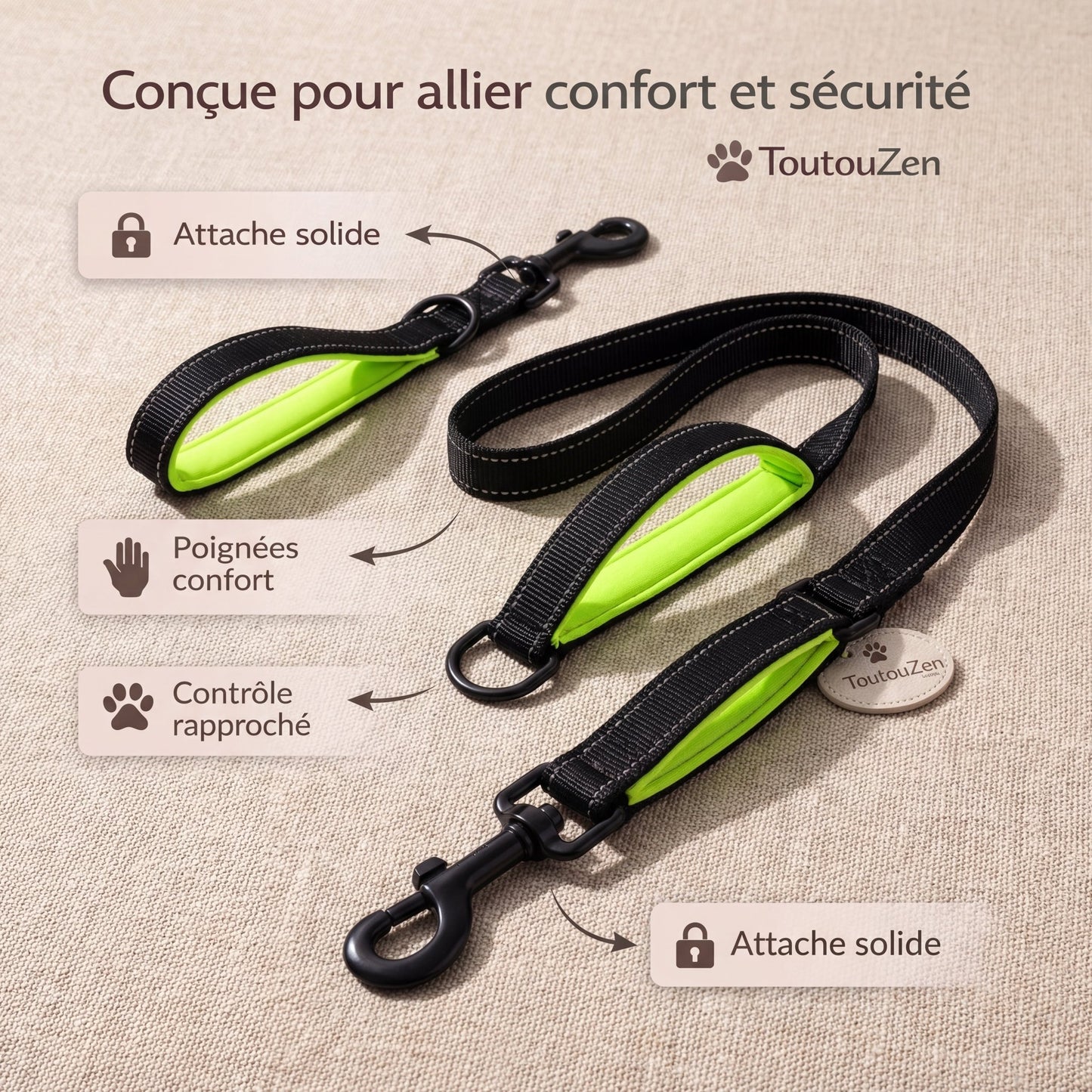 Laisse chien double poignée anti traction – reprends le contrôle en balade sans stress - ToutouZEN