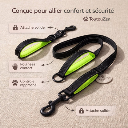 Laisse chien double poignée anti traction – reprends le contrôle en balade sans stress - ToutouZEN