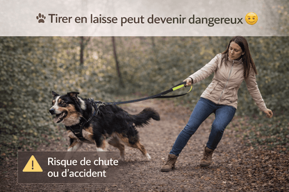 Laisse chien double poignée anti traction – reprends le contrôle en balade sans stress - ToutouZEN