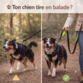 Laisse Double Poignée Anti Traction