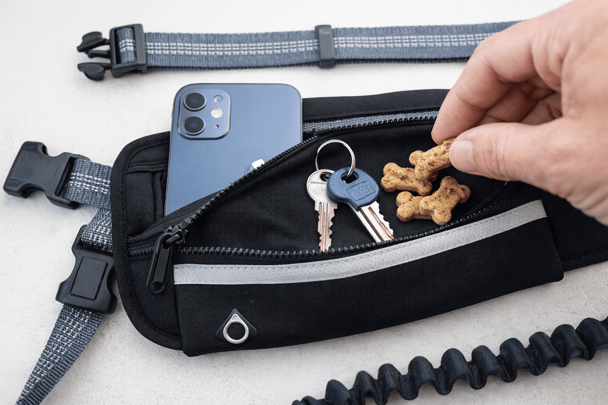 Laisse Running Mains Libres pour Chien - Sacoche intégrée, Balade & Sport - ToutouZEN