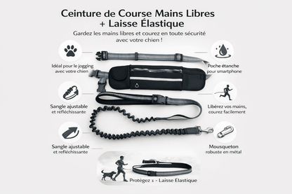 Laisse Running Mains Libres pour Chien - Sacoche intégrée, Balade & Sport - ToutouZEN