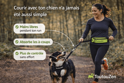 Laisse Running Mains Libres pour Chien - Sacoche intégrée, Balade & Sport - ToutouZEN