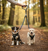 Laisse Double pour Deux Chiens | Promenade Sans emmêlement, Confort & Contrôle - ToutouZEN