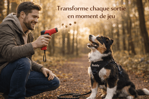 Lance Friandise Interactif pour Chien - Jeu Ludique, Exercice & Plaisir en Balade - ToutouZEN