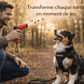 Lance Friandise Interactif